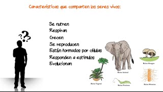 Comparación de las características comunes de los seres vivos [upl. by Shotton]