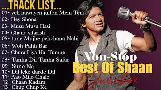 Best Of Shaan  NonStop Romantic Jukebox  BMIXLOFI [upl. by Johnna]