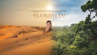 A CHINA Está Transformando DESERTOS em FLORESTAS [upl. by Cristoforo]