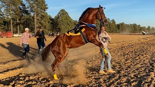 Carreron Muy Parejo  El Impostor VS El Indio Taste El Coyote Durango Méx [upl. by Airoled]