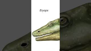 Giant Amphibians Are Changing Everything [upl. by Anaoy]