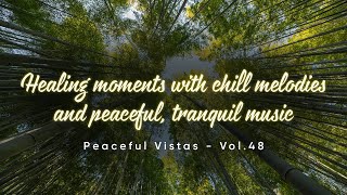 Dreaming Blue  Healing moments with chill melodies and peaceful tranquil music  Vol48 [upl. by Tobias]