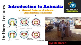 Introduction to Animalia [upl. by Ahse]