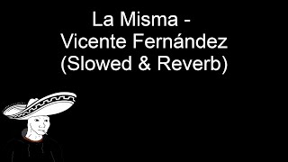 La Misma  Vicente Fernández Slowed amp Reverb [upl. by Leak]