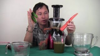 Using the Tribest Slowstar Vertical Slow Juicer to Make a Vegetable Juice Recipe [upl. by Helbona]