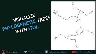 Visualize ANY phylogenetic trees using iTOL [upl. by Deva]