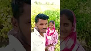 Raja Rani cha jodila aahe konacha yogdan Lal divyachya gadila song [upl. by Esdnyl]