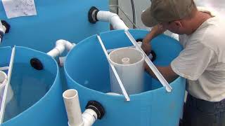 Big Aquaponic Greenhouse  Part 14  Mineralisation Tank [upl. by Nevek]