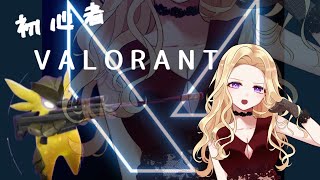 【VALORANT】アイアン脱したい【コンペ】valorant 女性配信者 初心者 ご飯食べながら アビリティ使えない [upl. by Sherye895]