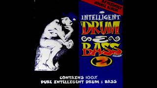 Intelligent Drum amp Bass Volume Two 1995 STHCCD 13 [upl. by Miharbi564]