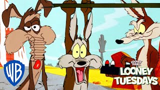 Looney Tuesdays  Ralph VS Wile E Coyote  Looney Tunes  wbkids [upl. by Naesar]