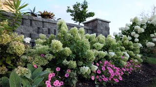 August HYDRANGEA GARDEN TOUR  2021 [upl. by Dimitri403]