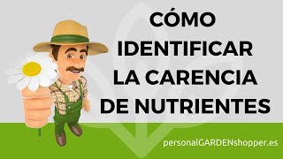 CÓMO IDENTIFICAR LA CARENCIA DE NUTRIENTES EN LAS PLANTAS [upl. by Case]