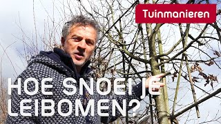 De leiboom snoeien in de winter hoe doe je dat  Snoeien  Tuinmanieren [upl. by Kath]