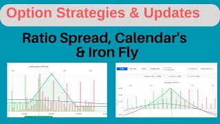 Option Trading  Positions and Best Adjustments  Calendar  IronFly  Ratio Spread trading [upl. by Ahsataj]