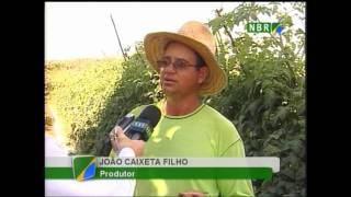 Produção de defensivos agrícolas para hortaliças [upl. by Enovi313]