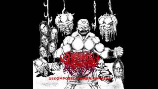 Humanoid Transmutation  Decomposed Human Remains FULL EP 2015  Goregrind  Death Metal [upl. by Margarette]