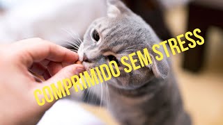 Como Dar Comprimido Para Gatos [upl. by Buffo131]