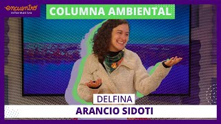 INACCIÓN ANTE EL CAMBIO CLIMATICO  DELFINA ARANCIO SIDOTI  INFORMATIVO [upl. by Ekaj]