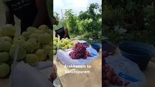 Arakkonam to Kanchipuram on roadzas travelling food views [upl. by Lizzie]