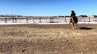 Thanksgiving Classic Western Horsemanship Walk Jog [upl. by Mccomb]