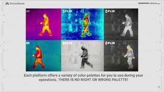 Basic Training Webinar Thermography Basics [upl. by Siron]