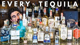 I Drank 30 Tequilas and Ranked Them ALL [upl. by Irb]