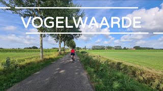 Cycling to the village of Vogelwaarde in the province of Zeeland [upl. by Xylina]