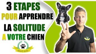 3 étapes pour apprendre à votre chien à rester seul  EDUC DOG [upl. by Eleirbag206]