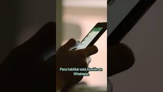 Transcribir audios en WhatsApp [upl. by Rilda]