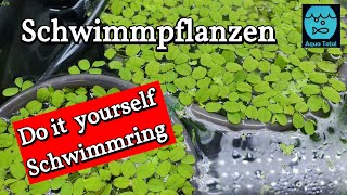 So hast du deine Schwimmpflanzen im Griff DIY Schwimmring für Aquarium Schwimmpflanzen selber bauen [upl. by Herrington]