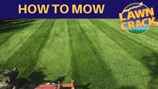 How to Mow a Lawn  Professional Lawn Mowing Tutorial  How to Mow Edge Trim amp Blow  LawnCrack [upl. by Rubi]