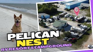 Beachfront 🌊 RV Campground at Pelican Nest in Dauphin Island AL [upl. by Siusan26]