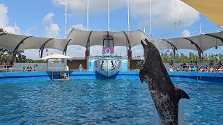 Flipper the Dolphin Miami Seaquarium [upl. by Matteo]