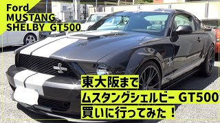 【ムスタング】東大阪までシェルビーGT500買いに行ってみた [upl. by Ybrik]