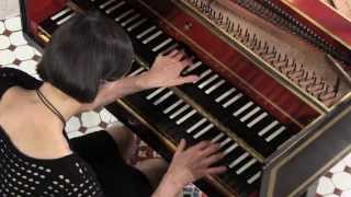 Haydn Harpsichord  Elaine Comparone plays Sonata in E minor 34 Presto [upl. by Retsevel]