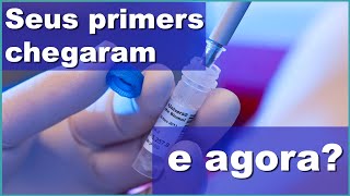 Seus primers chegaram E agora [upl. by Noleta]