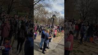 Watching solar eclipse in Central Park New York Zatmění Slunce v Central Parku [upl. by Lonny]