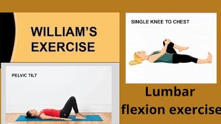 WILLIAMS EXERCISE 📕 For Low back pain  Flexion exercise [upl. by Anais]