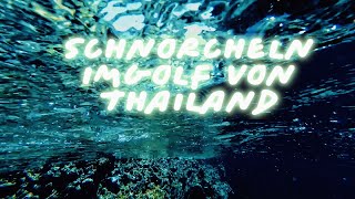 Schnorchel Tour Ko RangampKo Sikong [upl. by Mateusz13]