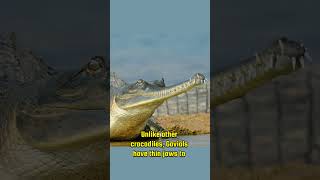 Fascinating Facts About the Gavial You Didnt Know gavial crocodile wildlife [upl. by Skeie]