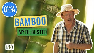 Everything Bamboo  Discovery  Gardening Australia [upl. by Collimore]