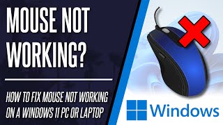 How to FIX Mouse Not Working or Detected on Windows 11 [upl. by Agle]