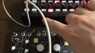 Playing Make Noise Strega with KORG SQ1 as an quotordinaryquot synth not a drone one [upl. by Analihp]