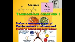 Тыквенные семечки помогут набрать мышечную массу детям вырасти выше Профилактика от облысения [upl. by Ginsburg319]