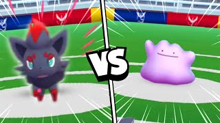 🌀 Ditto vs Zorua quotOhquot battle pokemon go [upl. by Artie]