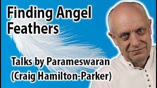 Finding Angel Feathers Feather Significance and Meanings [upl. by Armand]