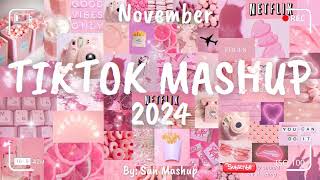 Tiktok Mashup November 🌺🌺2024🌺🌺 Not Clean [upl. by Trovillion]