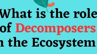 Role of decomposers in ecosystemclass 10 th Biology [upl. by Monjan292]