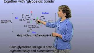 Glycan linkage  Carolyn Bertozzi Berkeley [upl. by Vandyke598]